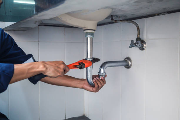 Best Plumbing Inspection Services  in Fairmount, IN